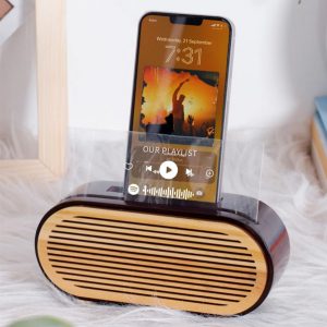 Amplificador de Som Personalizado 1