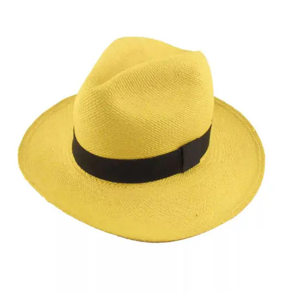 Ver Chapéu panamá palha colorido