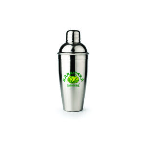 Coqueteleira Inox 750ml Brinde