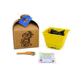 Kit Cultivo Infantil Personalizado