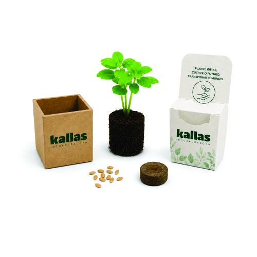Kit Cultivo Plantio Personalizado