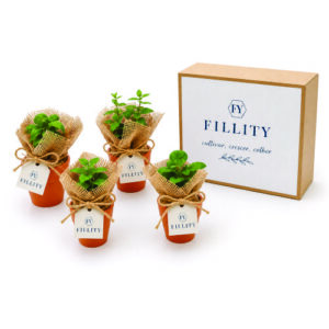 Kit Cultivo Sustentável Personalizado