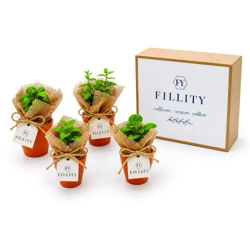 Kit Cultivo Sustentável Personalizado