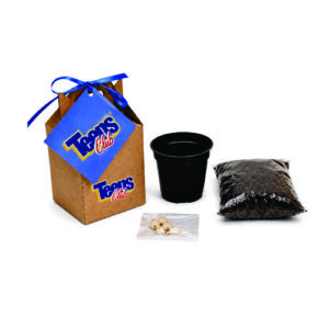Kit Plantio Kraft com Semente