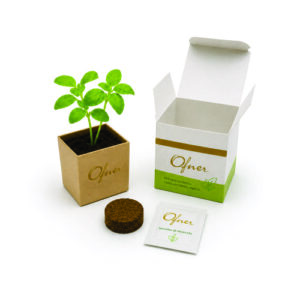Mini Kit Plantio em Papel