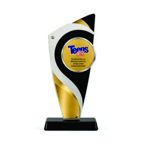 Troféu de Metal Personalizado